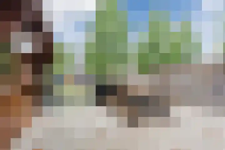 Justus van Effenlaan 80 Waddinxveen thumbnail 26