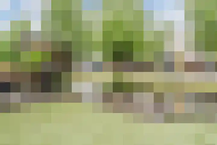 Justus van Effenlaan 80 Waddinxveen thumbnail 27