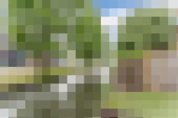 Justus van Effenlaan 80 Waddinxveen thumbnail 29