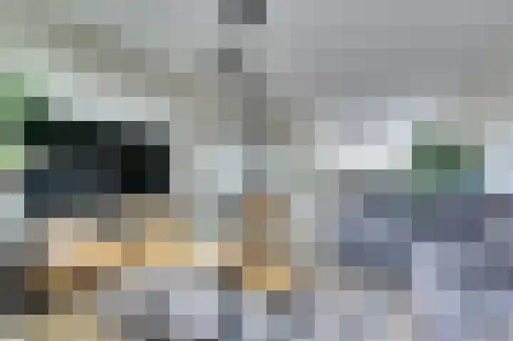 Justus van Effenlaan 86 Waddinxveen thumbnail 11