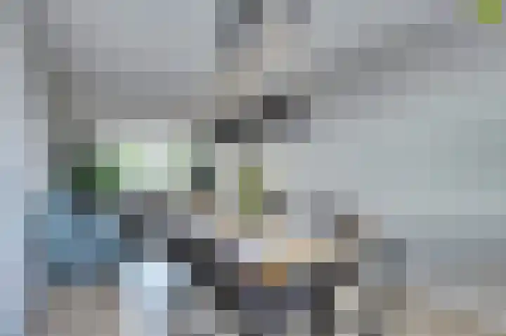 Justus van Effenlaan 86 Waddinxveen thumbnail 16