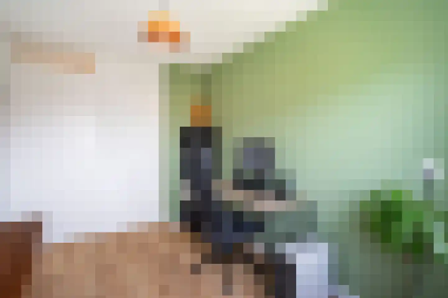 Justus van Effenpad 3 Gouda thumbnail 27