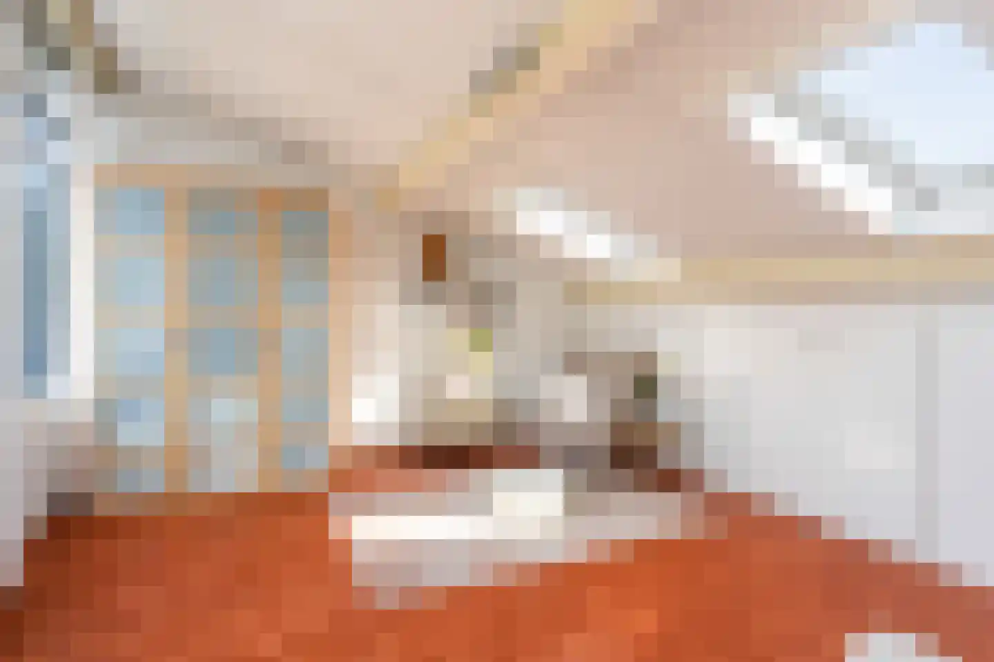 Justus van Effenpad 3 Gouda thumbnail 32