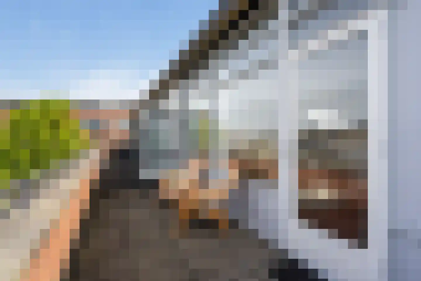 Justus van Effenpad 3 Gouda thumbnail 35