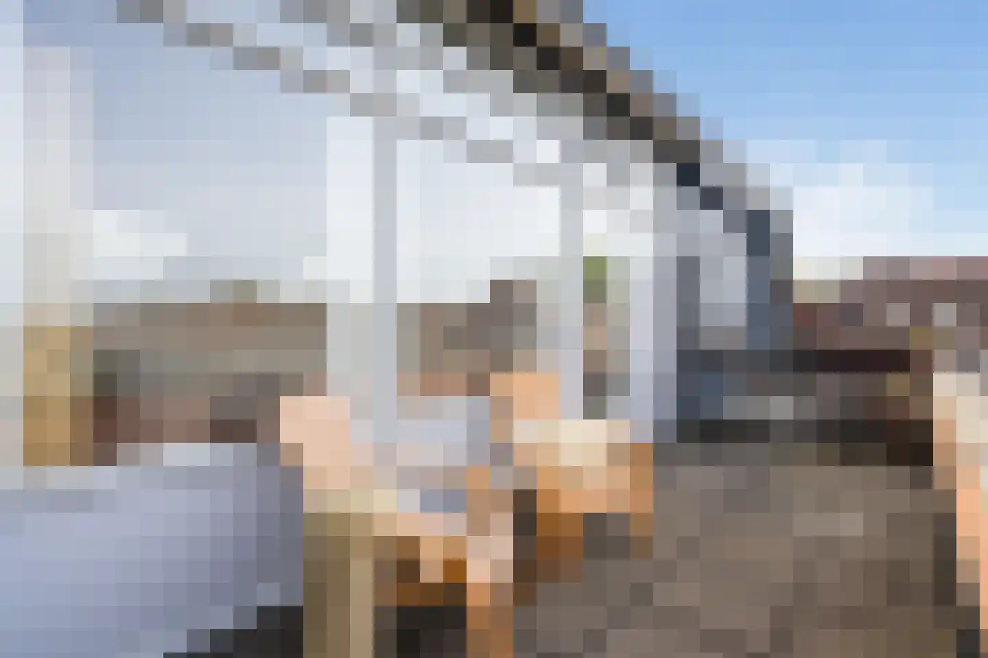 Justus van Effenpad 3 Gouda thumbnail 36