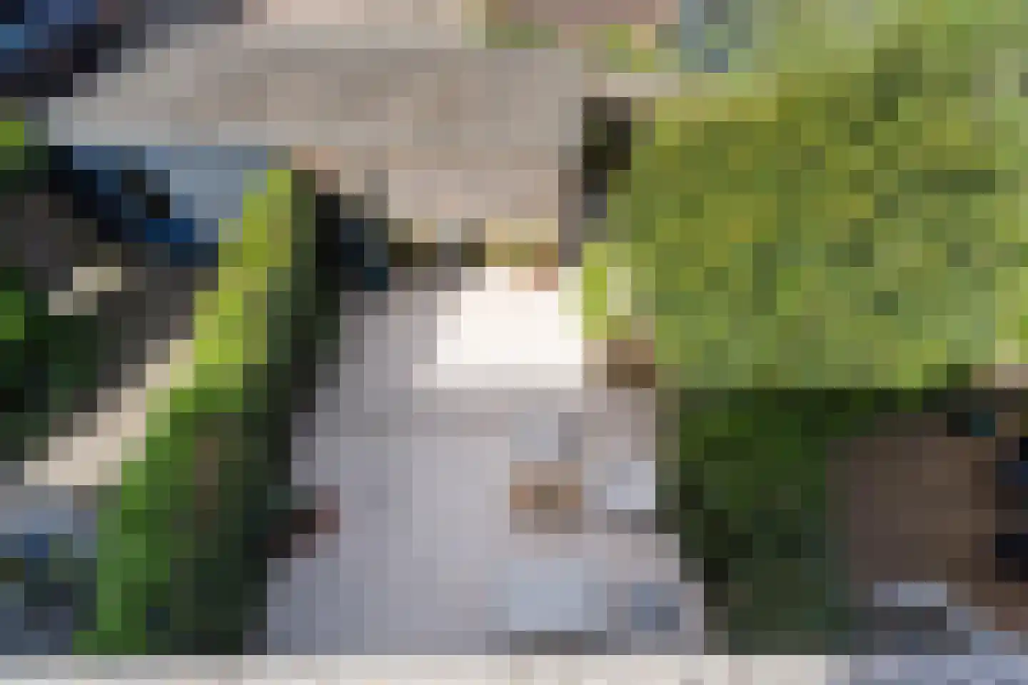 Justus van Effenpad 3 Gouda thumbnail 37