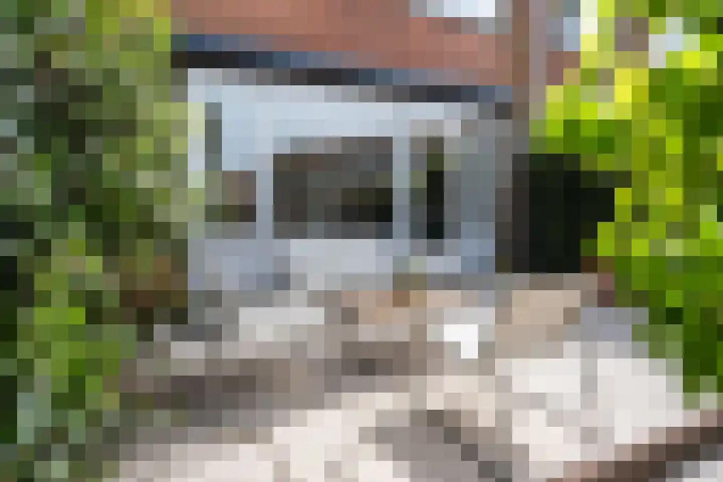 Justus van Effenpad 3 Gouda thumbnail 41