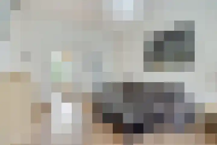Justus van Effenstraat 10 BS Utrecht thumbnail 18