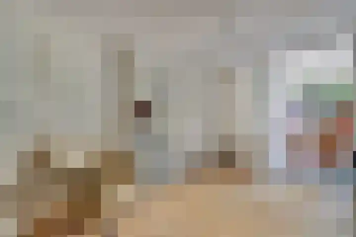 Justus van Effenstraat 11 Utrecht thumbnail 18