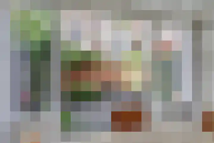 Justus van Effenstraat 11 Utrecht thumbnail 21