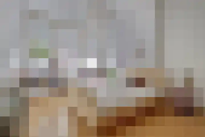 Justus van Effenstraat 11 Utrecht thumbnail 4