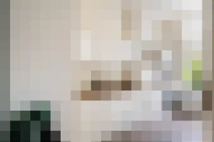 Justus van Effenstraat 15 A Utrecht thumbnail 15