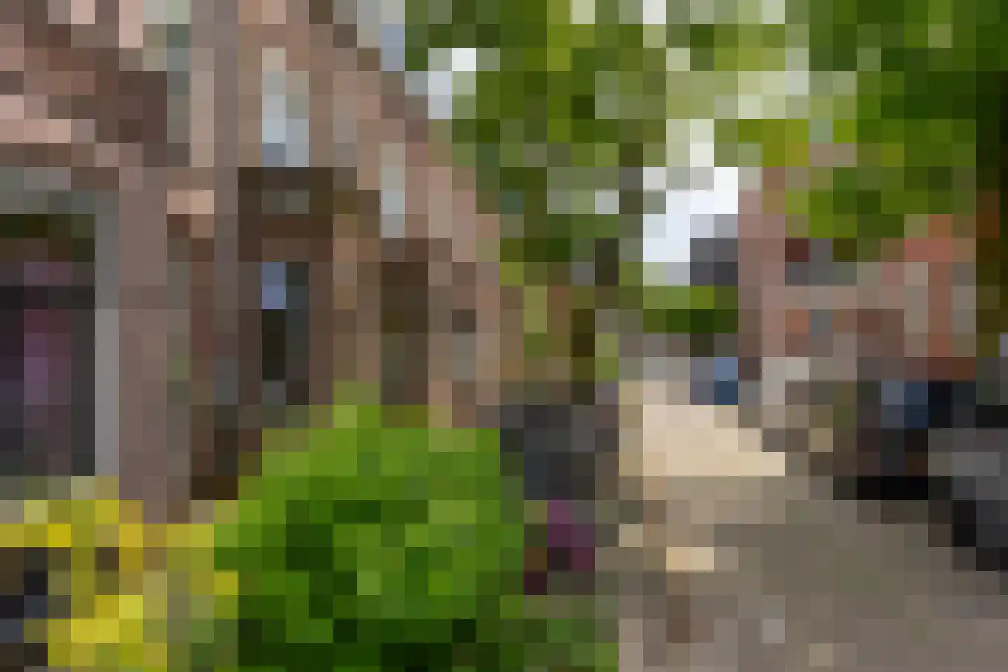 Justus van Effenstraat 18 A Utrecht thumbnail 32