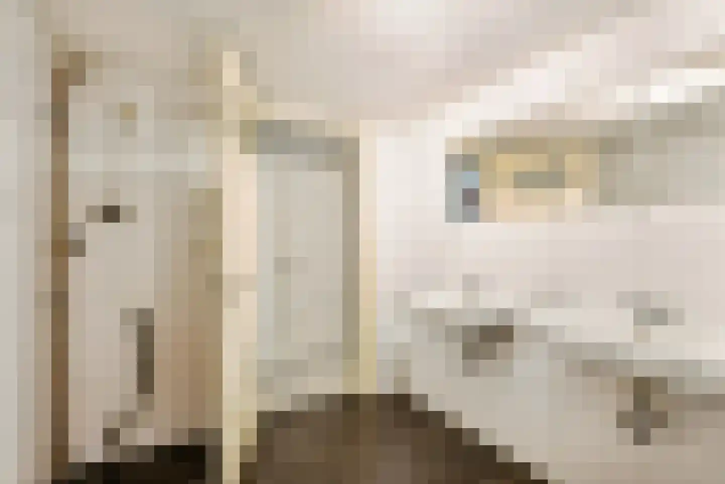 Justus van Effenstraat 23 Utrecht thumbnail 36