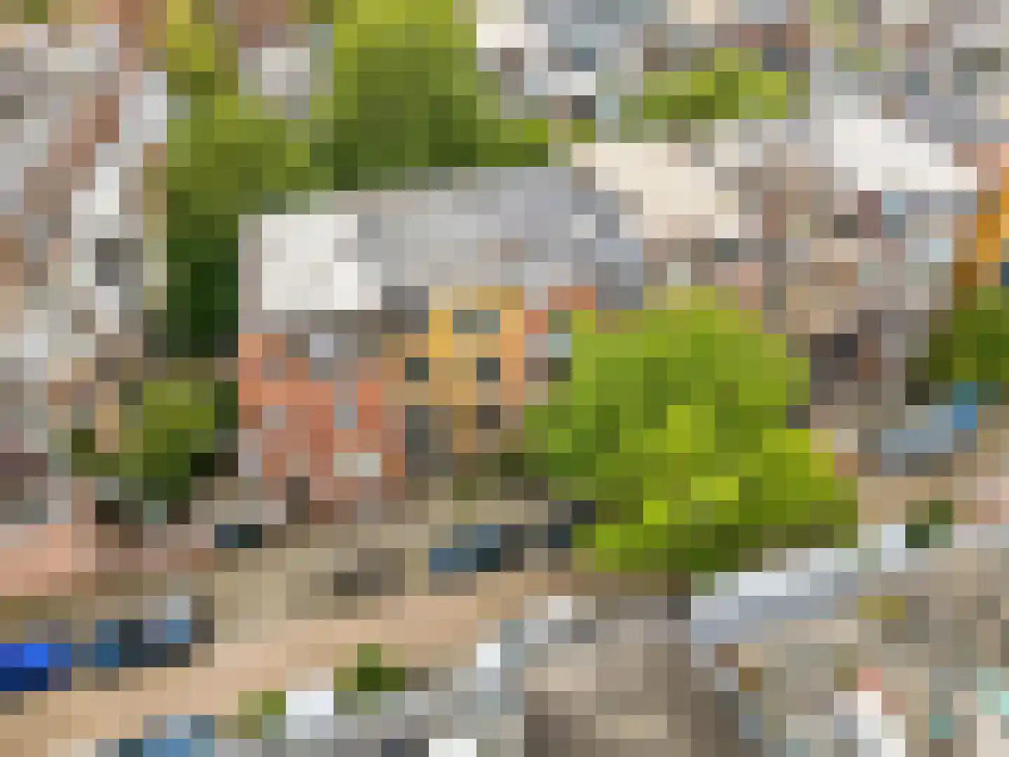 Justus van Effenstraat 23 Utrecht thumbnail 43