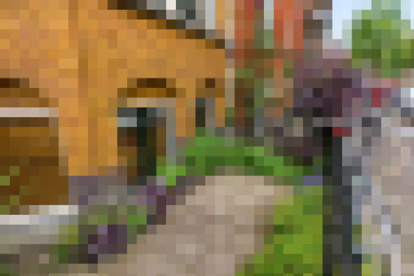 Justus van Effenstraat 23 Utrecht thumbnail 6