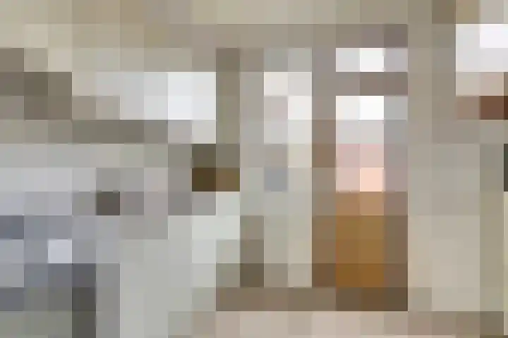 Justus van Effenstraat 31 Papendrecht thumbnail 10