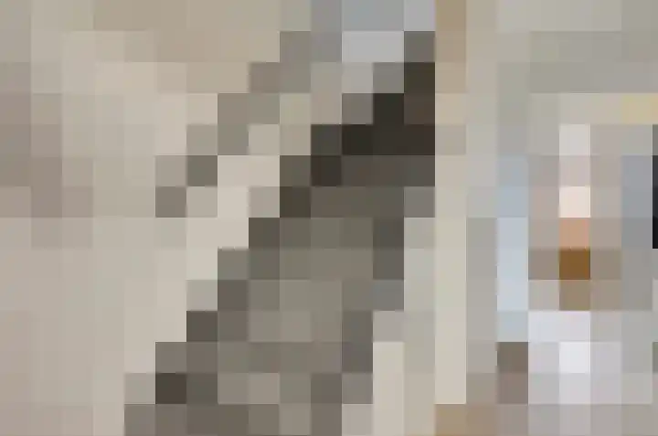 Justus van Effenstraat 31 Papendrecht thumbnail 12