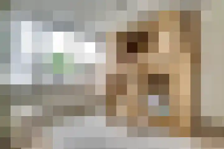 Justus van Effenstraat 31 Papendrecht thumbnail 15