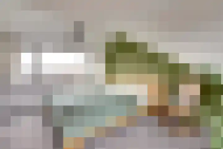 Justus van Effenstraat 31 Papendrecht thumbnail 23