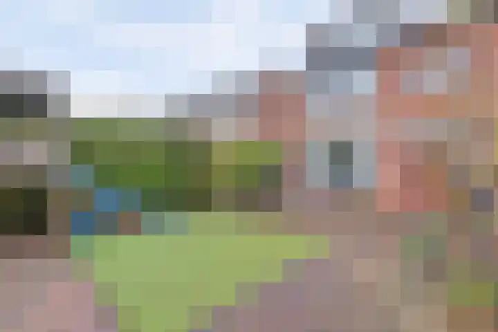 Justus van Effenstraat 31 Papendrecht thumbnail 28