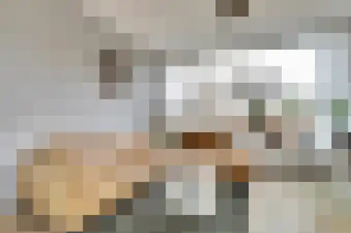 Justus van Effenstraat 31 Papendrecht thumbnail 6