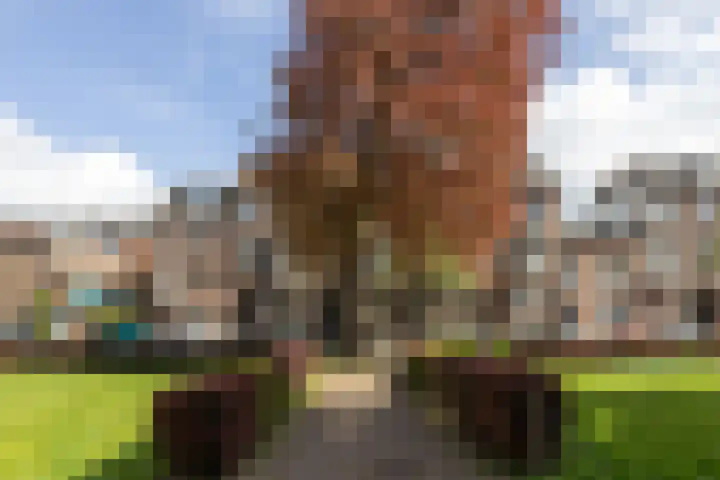 Justus van Effenstraat 36 D Utrecht thumbnail 24