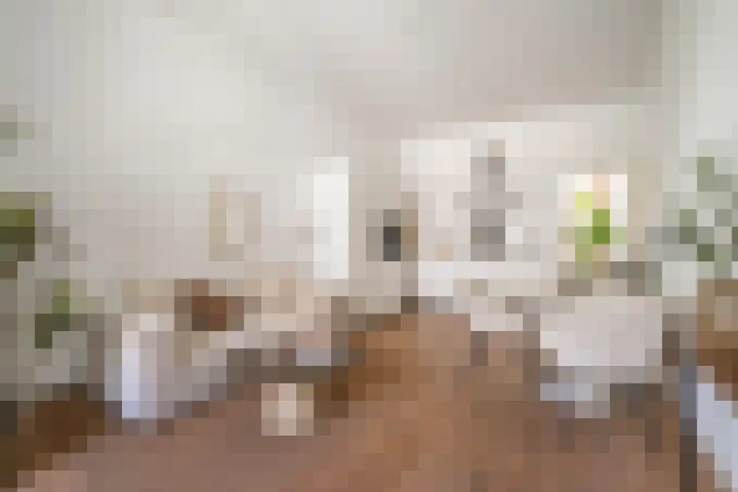 Justus van Effenstraat 36 Utrecht thumbnail 21