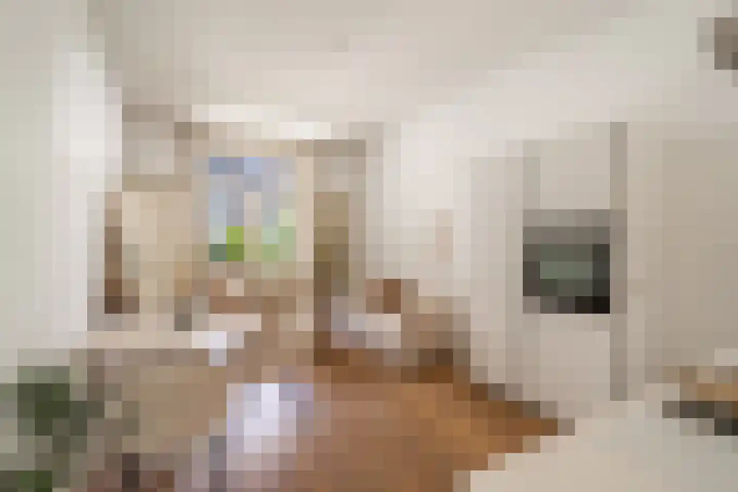 Justus van Effenstraat 36 Utrecht thumbnail 7