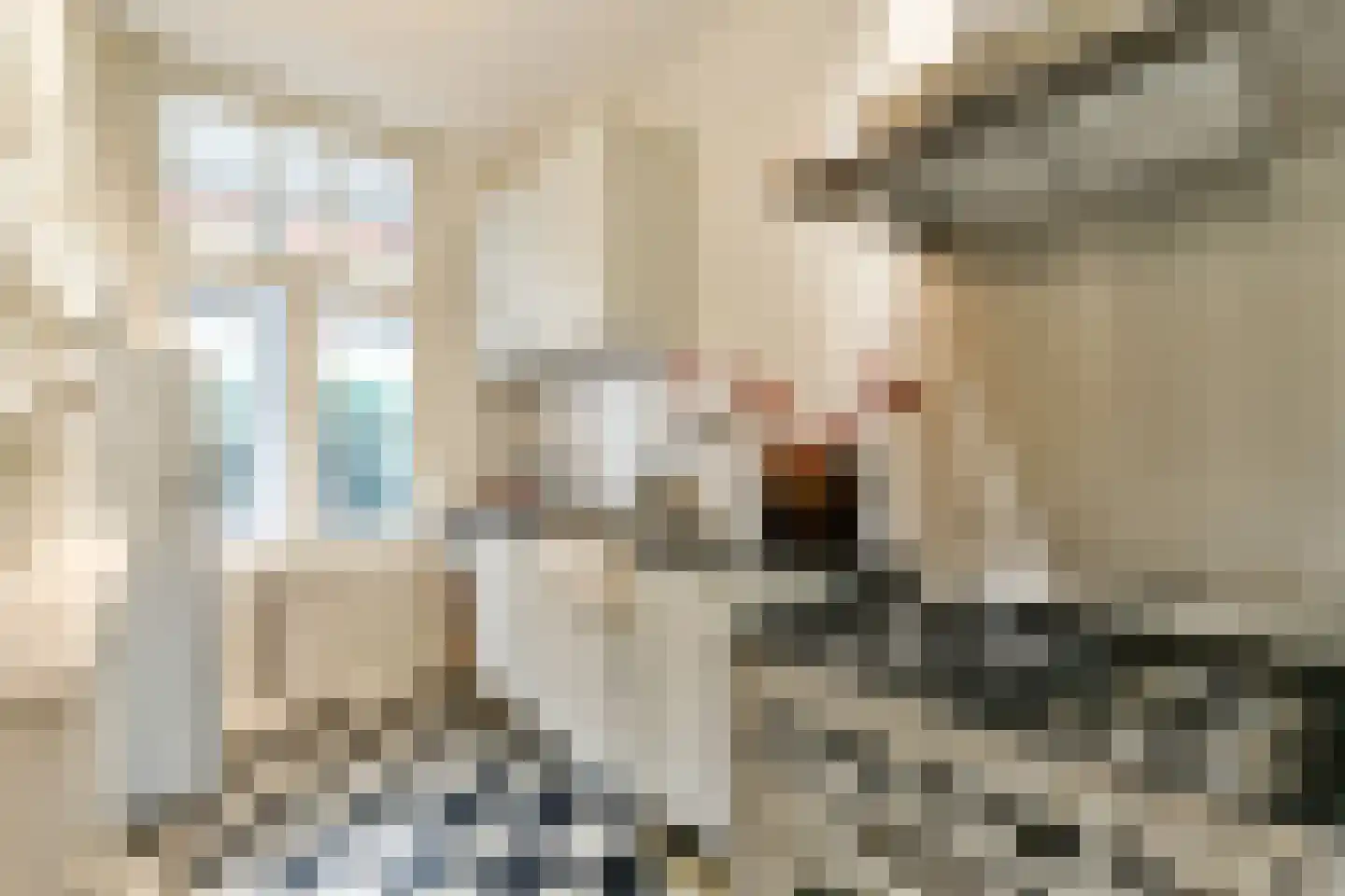 Justus van Effenstraat 44 Utrecht thumbnail 18