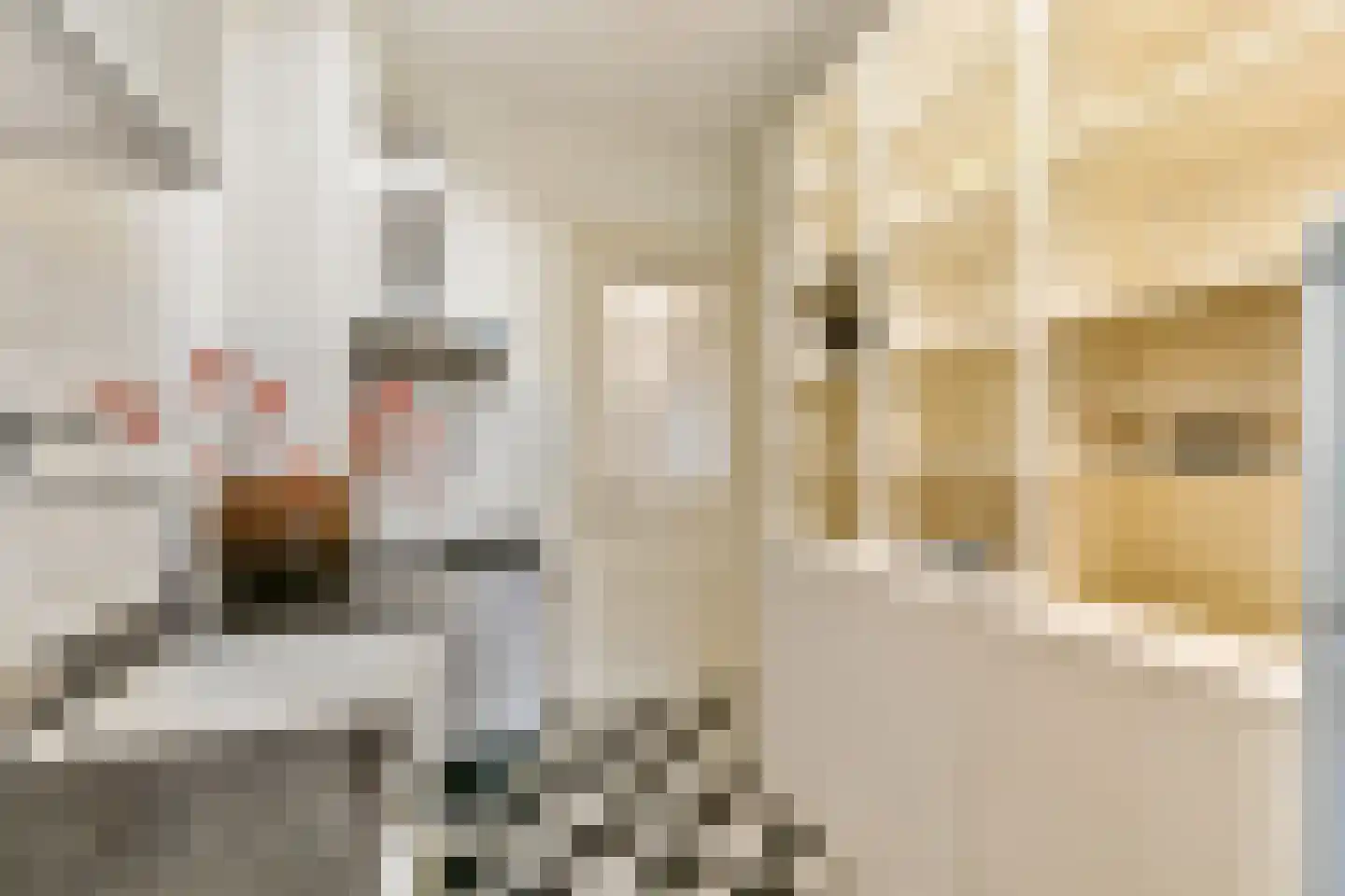 Justus van Effenstraat 44 Utrecht thumbnail 19