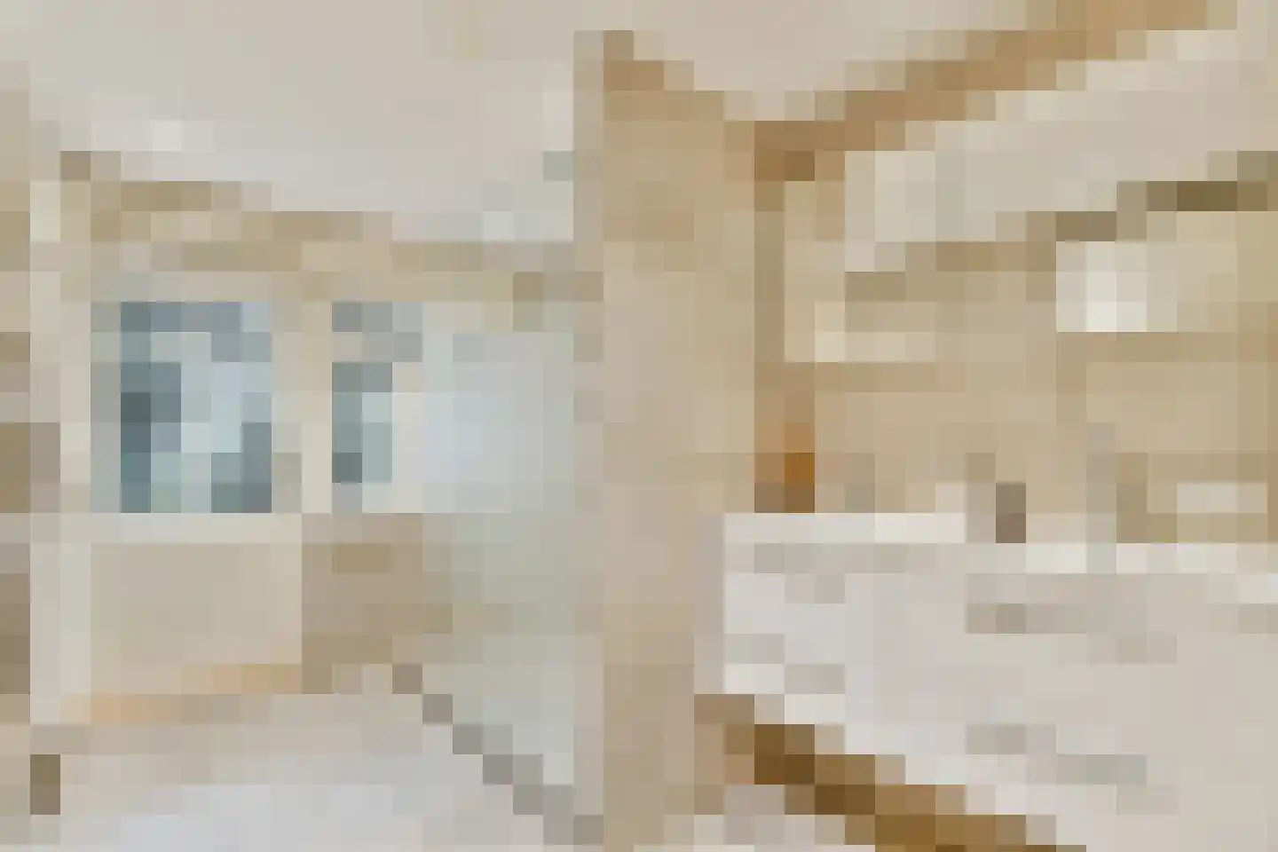 Justus van Effenstraat 44 Utrecht thumbnail 26