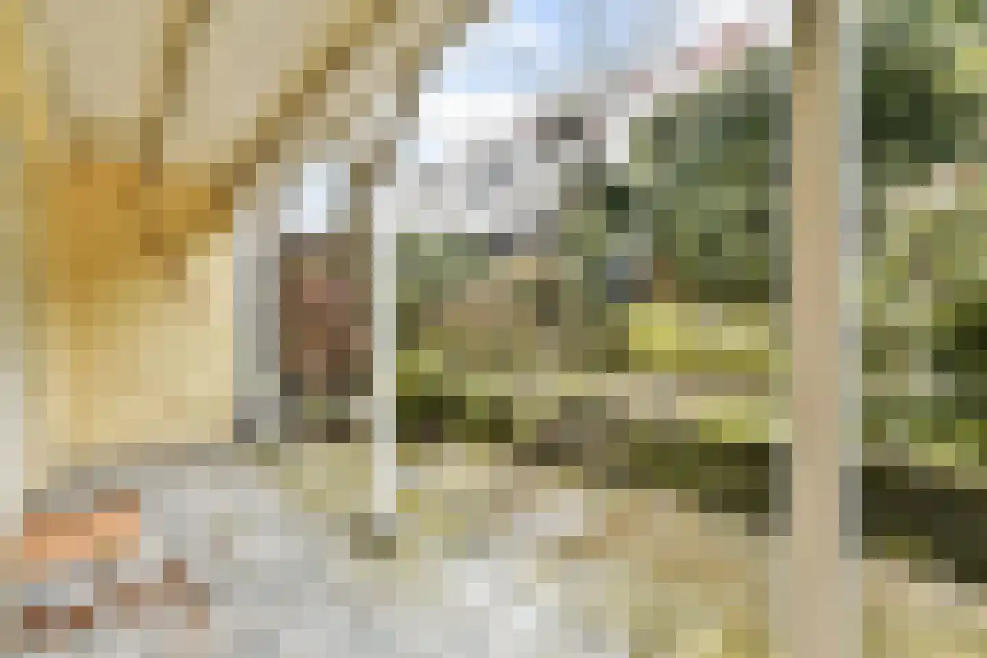 Justus van Effenstraat 44 Utrecht thumbnail 30