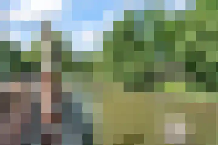 Justus van Effenstraat 5 A Utrecht thumbnail 32