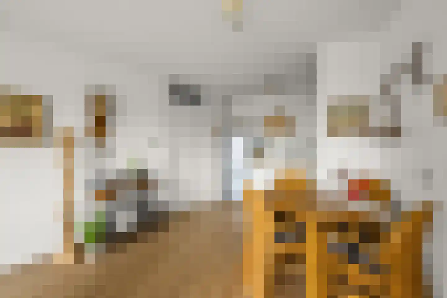 Justus van Effenstraat 85 Alkmaar thumbnail 6