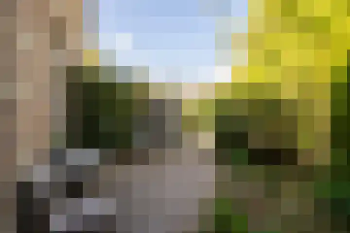 Justus van Maurikstraat 37 F Heerlen thumbnail 11