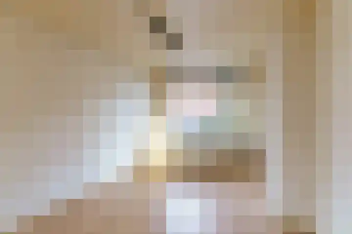 Justus van Schoonhovenstraat 47 Delft thumbnail 4