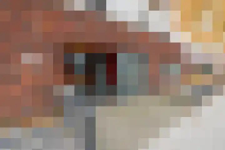 Jutfaseweg 14 C Utrecht thumbnail 10