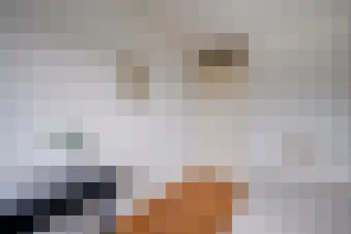 Jutfaseweg 14 C Utrecht thumbnail 33