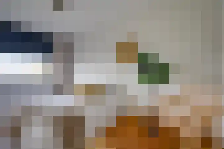 Jutfaseweg 14 C Utrecht thumbnail 35