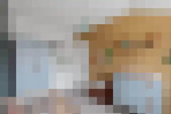 Jutfaseweg 159 Utrecht thumbnail 38
