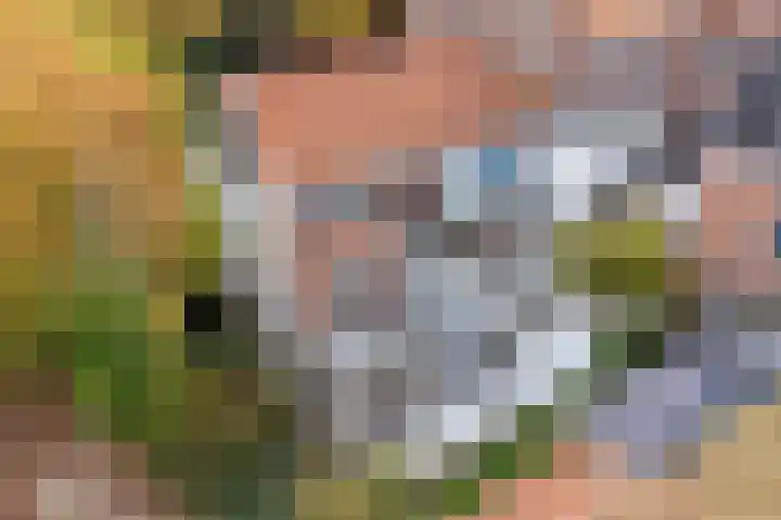 Jutfaseweg 159 Utrecht thumbnail 41
