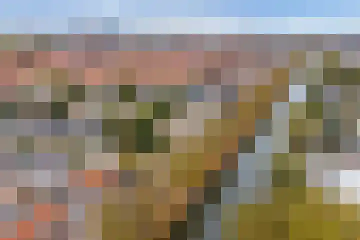 Jutfaseweg 159 Utrecht thumbnail 44