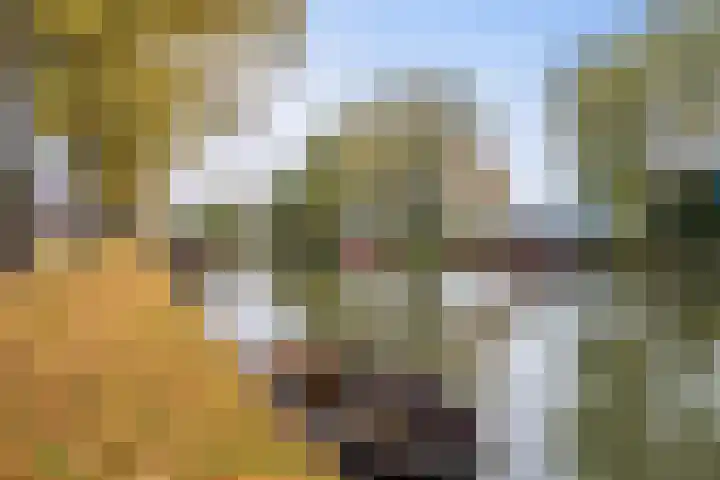 Jutfaseweg 159 Utrecht thumbnail 45