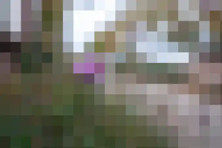 Jutfaseweg 159 Utrecht thumbnail 46