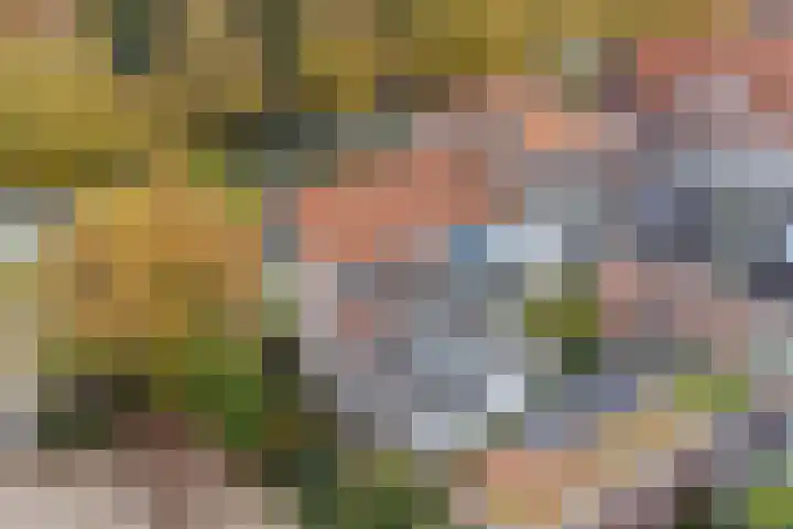 Jutfaseweg 159 Utrecht thumbnail 5