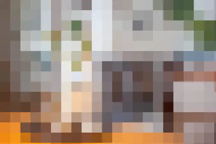 Jutfaseweg 159 Utrecht thumbnail 9