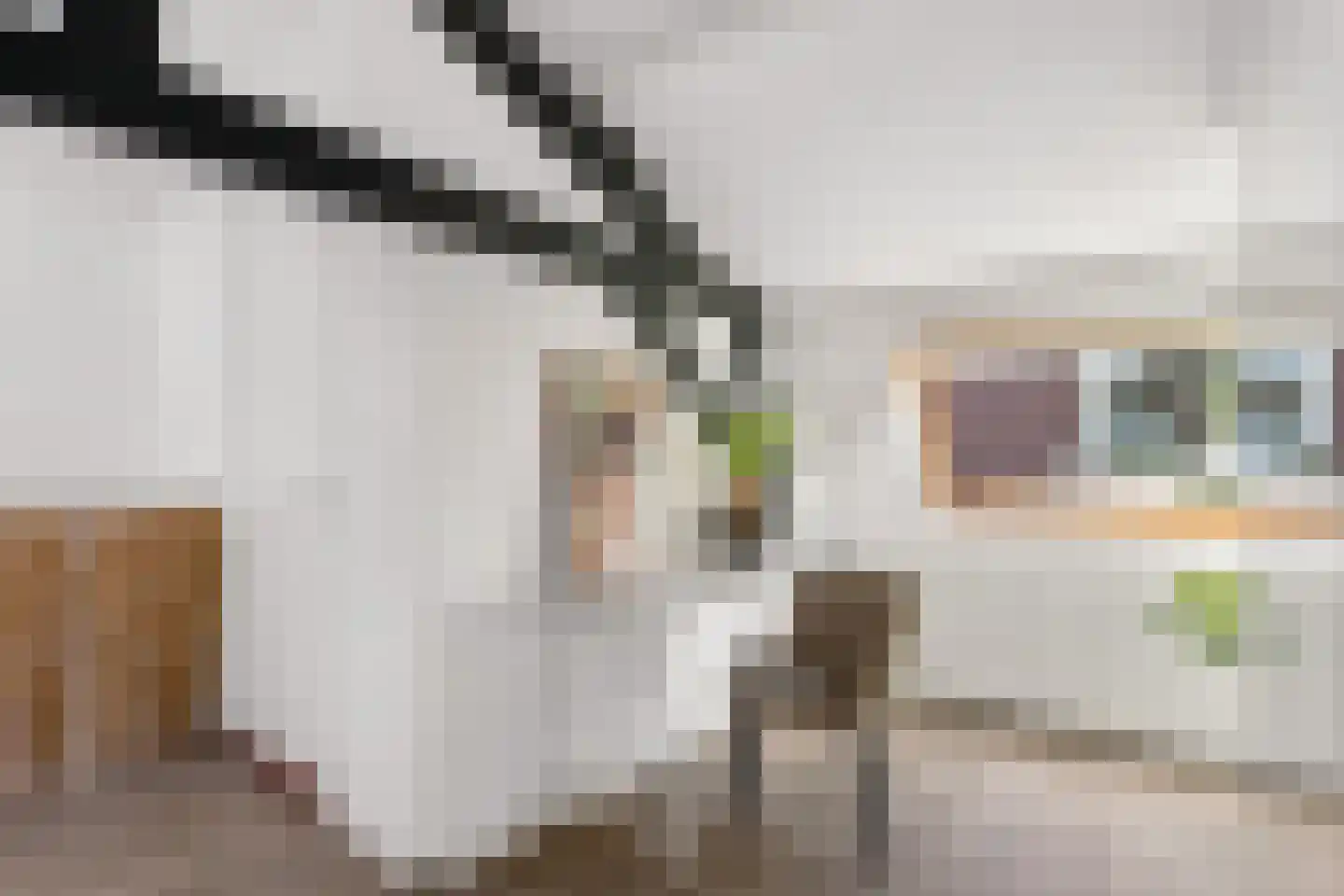 Jutfaseweg 168 Utrecht thumbnail 21