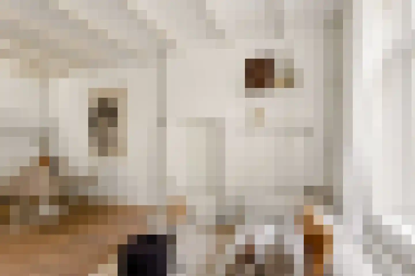 Jutfaseweg 168 Utrecht thumbnail 7