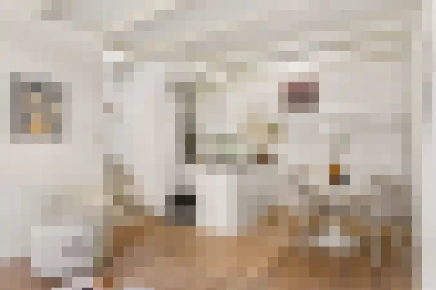 Jutfaseweg 168 Utrecht thumbnail 8